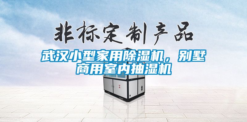 武漢小型家用除濕機(jī)，別墅商用室內(nèi)抽濕機(jī)