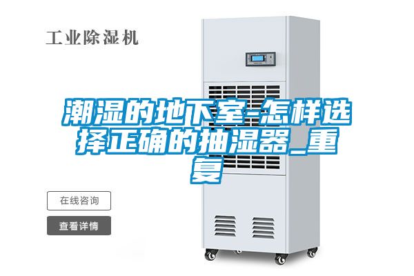 潮濕的地下室-怎樣選擇正確的抽濕器_重復(fù)