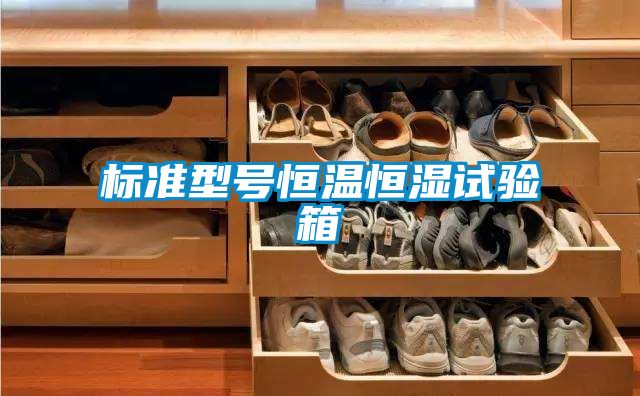 標(biāo)準(zhǔn)型號恒溫恒濕試驗箱