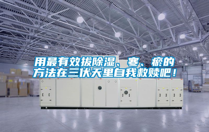 用最有效拔除濕、寒、瘀的方法在三伏天里自我救贖吧！
