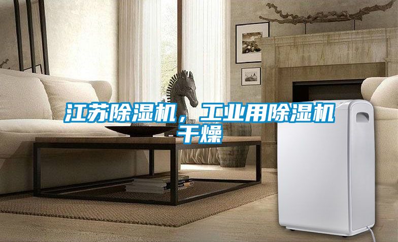江蘇除濕機(jī)，工業(yè)用除濕機(jī)干燥