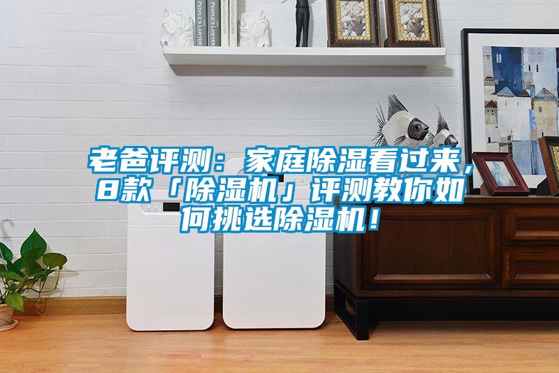 老爸評(píng)測(cè)：家庭除濕看過(guò)來(lái)，8款「除濕機(jī)」評(píng)測(cè)教你如何挑選除濕機(jī)！