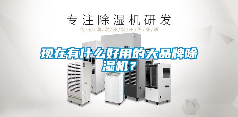 現(xiàn)在有什么好用的大品牌除濕機(jī)？
