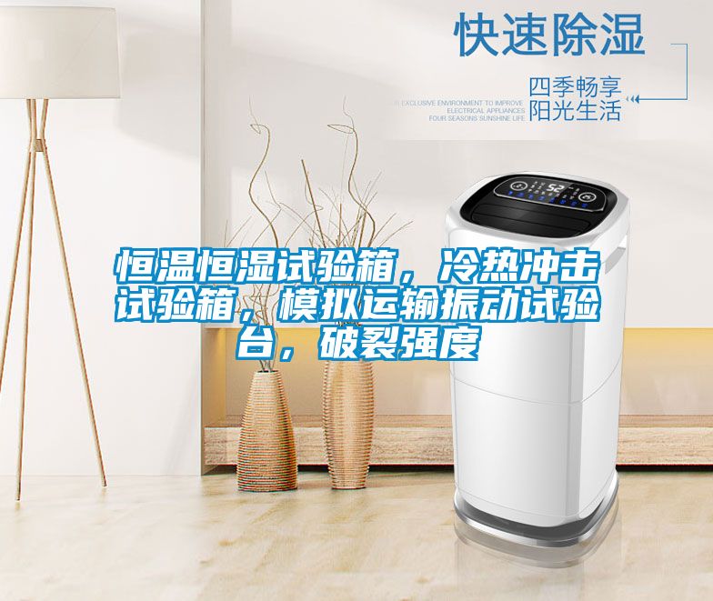 恒溫恒濕試驗箱，冷熱沖擊試驗箱，模擬運輸振動試驗臺，破裂強度