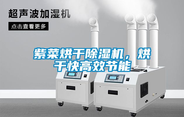 紫菜烘干除濕機，烘干快高效節(jié)能