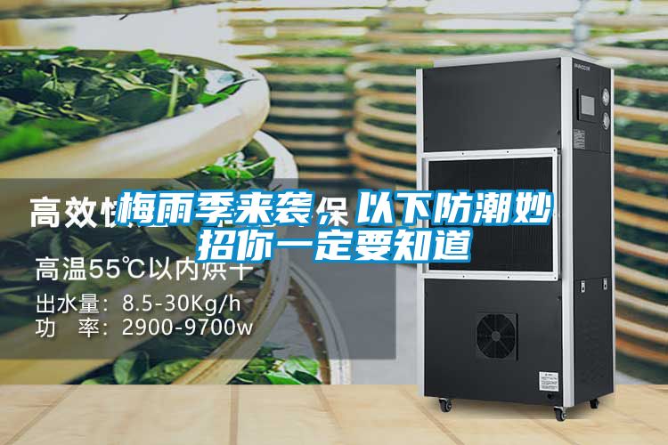 梅雨季來襲，以下防潮妙招你一定要知道