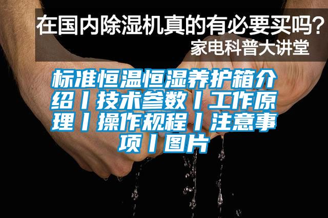 標準恒溫恒濕養(yǎng)護箱介紹丨技術(shù)參數(shù)丨工作原理丨操作規(guī)程丨注意事項丨圖片