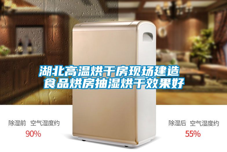 湖北高溫烘干房現(xiàn)場建造 食品烘房抽濕烘干效果好
