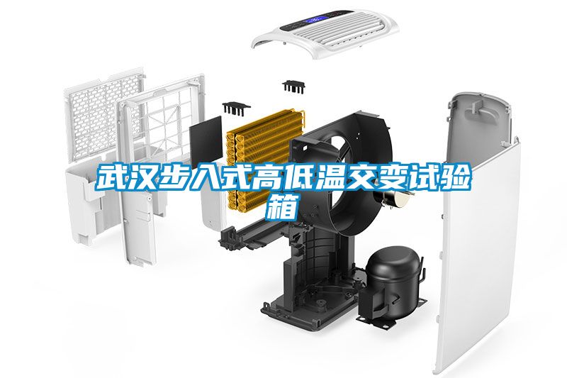 武漢步入式高低溫交變?cè)囼?yàn)箱