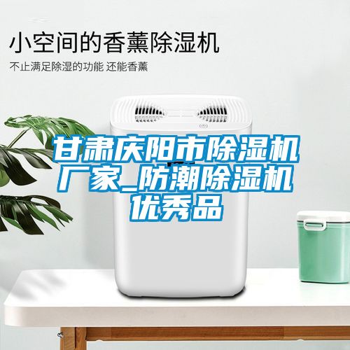 甘肅慶陽市除濕機廠家_防潮除濕機優(yōu)秀品