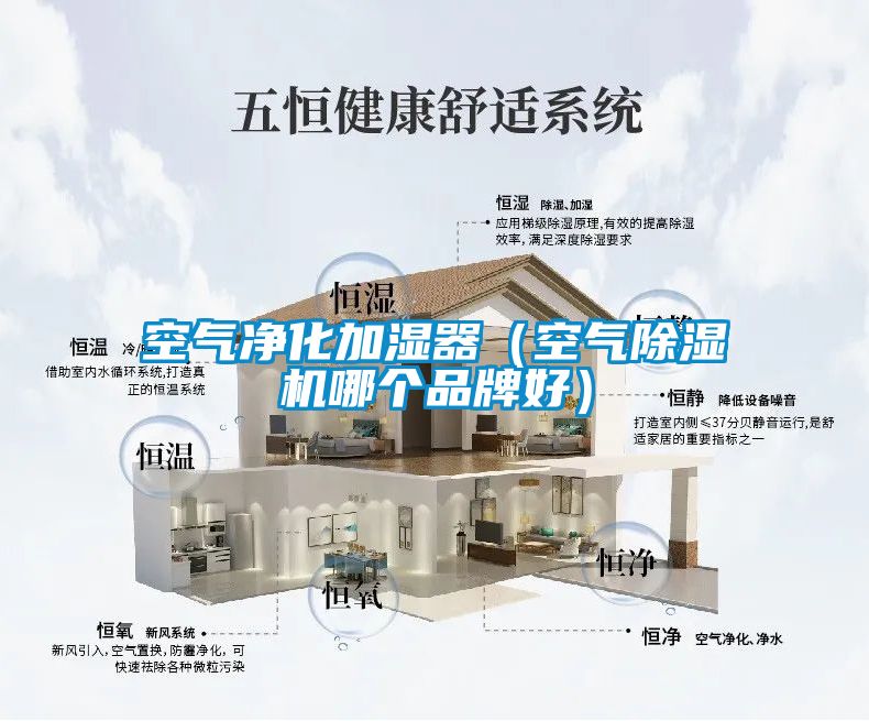 空氣凈化加濕器（空氣除濕機(jī)哪個(gè)品牌好）