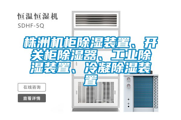 株洲機(jī)柜除濕裝置、開(kāi)關(guān)柜除濕器、工業(yè)除濕裝置、冷凝除濕裝置