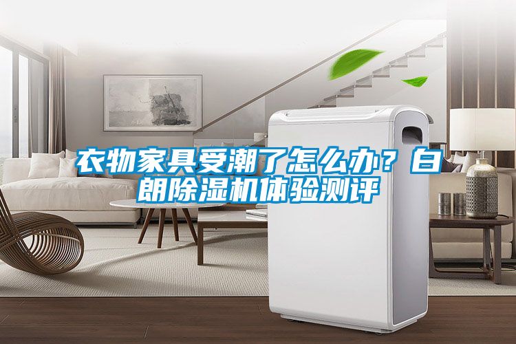 衣物家具受潮了怎么辦？白朗除濕機體驗測評