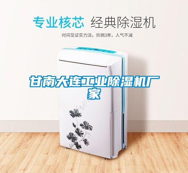 甘南大連工業(yè)除濕機(jī)廠家