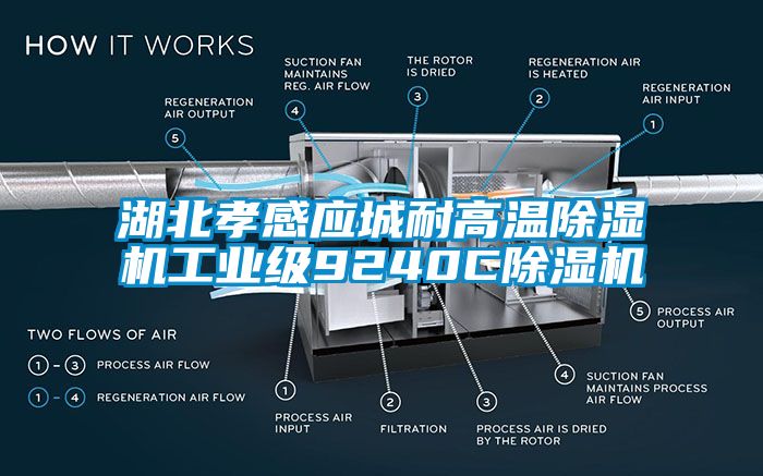 湖北孝感應(yīng)城耐高溫除濕機(jī)工業(yè)級(jí)9240C除濕機(jī)