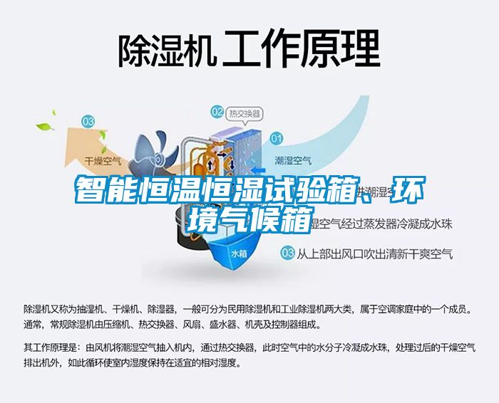 智能恒溫恒濕試驗箱、環(huán)境氣候箱