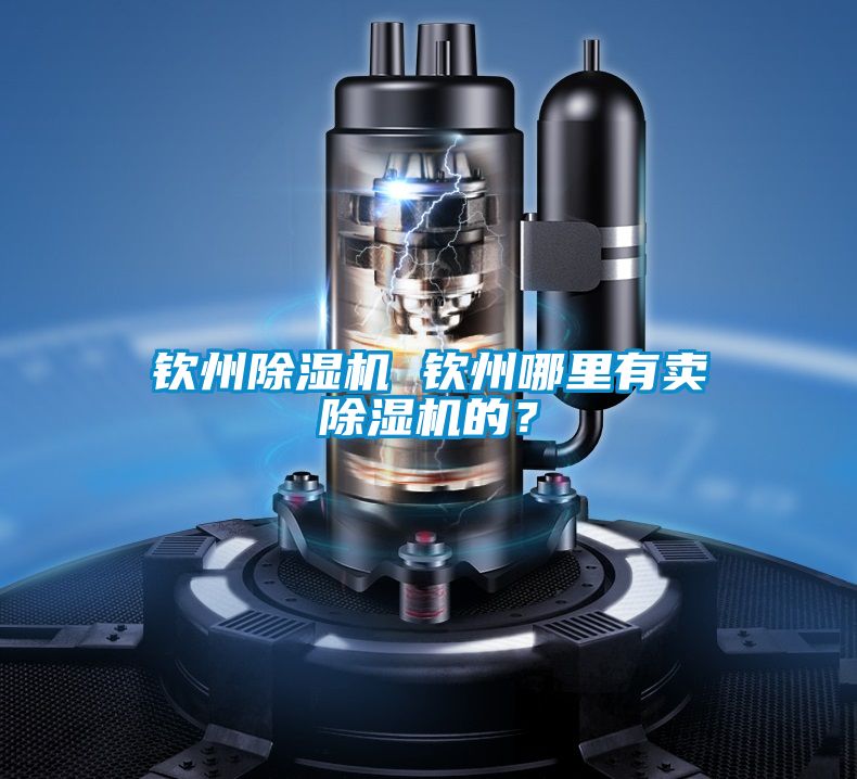 欽州除濕機(jī) 欽州哪里有賣除濕機(jī)的？