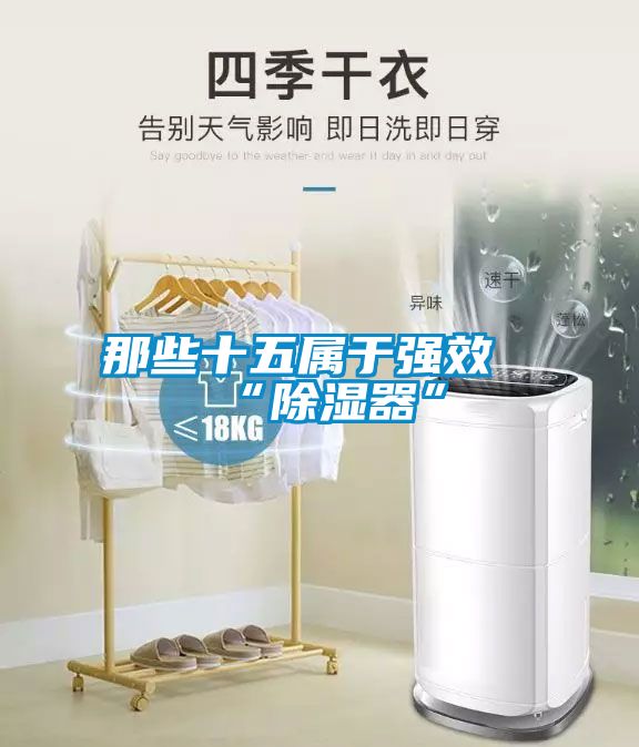那些十五屬于強(qiáng)效“除濕器”