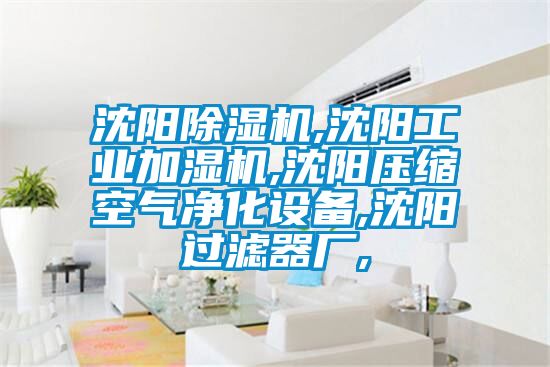 沈陽除濕機,沈陽工業(yè)加濕機,沈陽壓縮空氣凈化設備,沈陽過濾器廠,