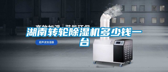 湖南轉(zhuǎn)輪除濕機(jī)多少錢一臺(tái)
