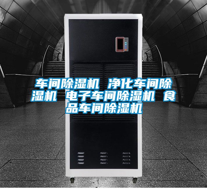 車(chē)間除濕機(jī) 凈化車(chē)間除濕機(jī) 電子車(chē)間除濕機(jī) 食品車(chē)間除濕機(jī)
