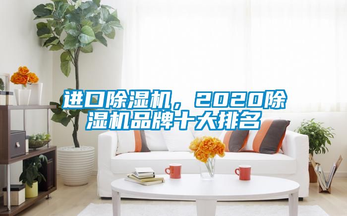 進口除濕機，2020除濕機品牌十大排名