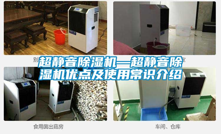 超靜音除濕機(jī)—超靜音除濕機(jī)優(yōu)點(diǎn)及使用常識(shí)介紹