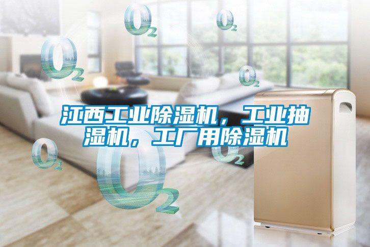 江西工業(yè)除濕機，工業(yè)抽濕機，工廠用除濕機