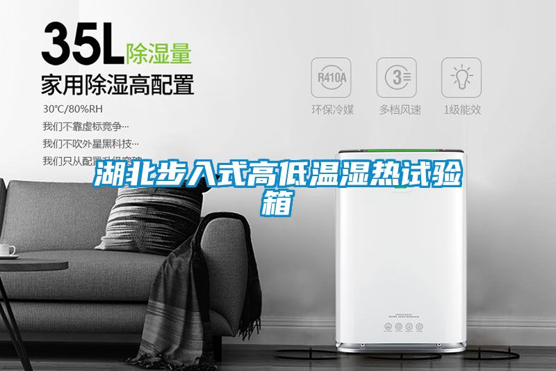 湖北步入式高低溫濕熱試驗(yàn)箱