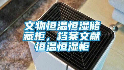 文物恒溫恒濕儲藏柜，檔案文獻(xiàn)恒溫恒濕柜