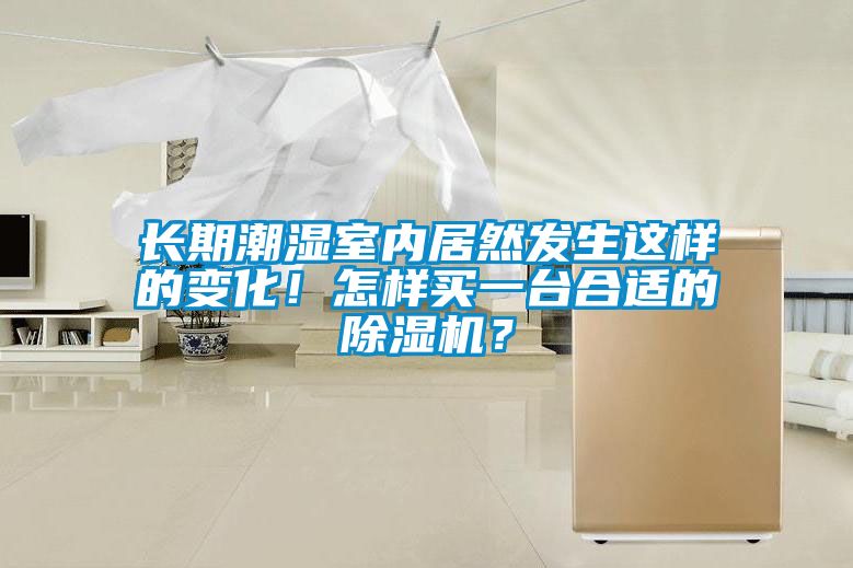 長期潮濕室內(nèi)居然發(fā)生這樣的變化！怎樣買一臺(tái)合適的除濕機(jī)？