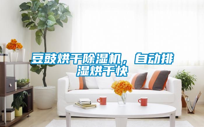 豆豉烘干除濕機(jī)，自動(dòng)排濕烘干快