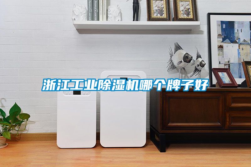浙江工業(yè)除濕機哪個牌子好