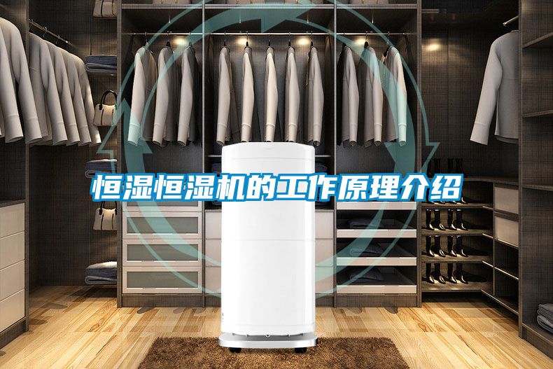 恒濕恒濕機(jī)的工作原理介紹