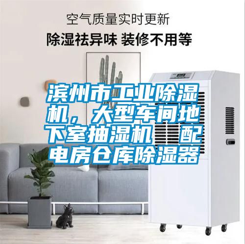 濱州市工業(yè)除濕機(jī)，大型車間地下室抽濕機(jī)  配電房倉(cāng)庫(kù)除濕器
