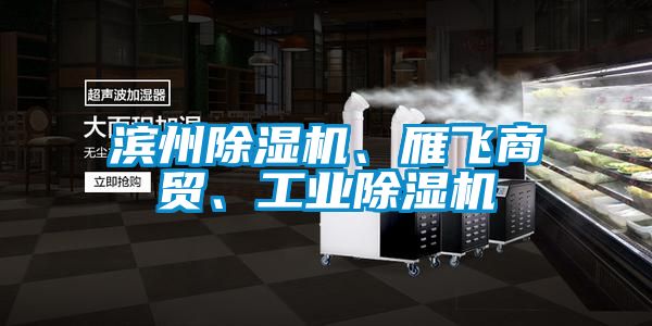 濱州除濕機、雁飛商貿(mào)、工業(yè)除濕機
