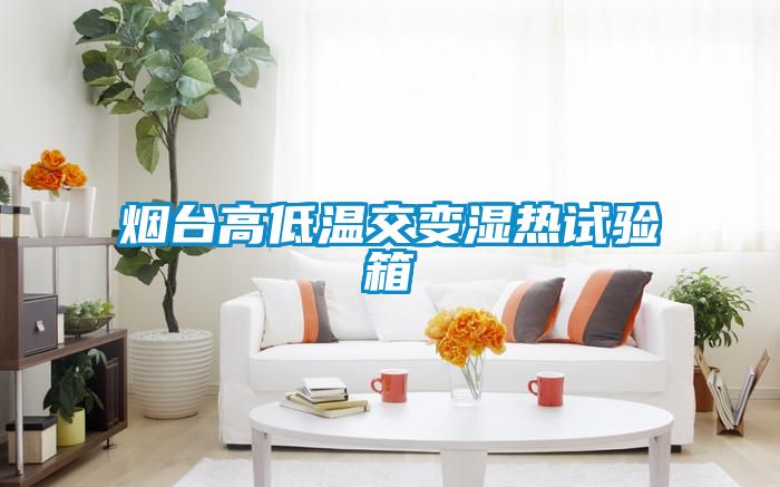 煙臺(tái)高低溫交變濕熱試驗(yàn)箱