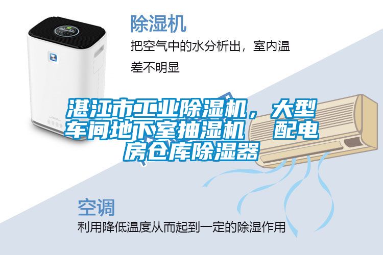 湛江市工業(yè)除濕機(jī)，大型車間地下室抽濕機(jī)  配電房倉庫除濕器