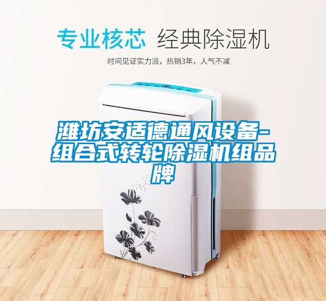濰坊安適德通風(fēng)設(shè)備-組合式轉(zhuǎn)輪除濕機(jī)組品牌