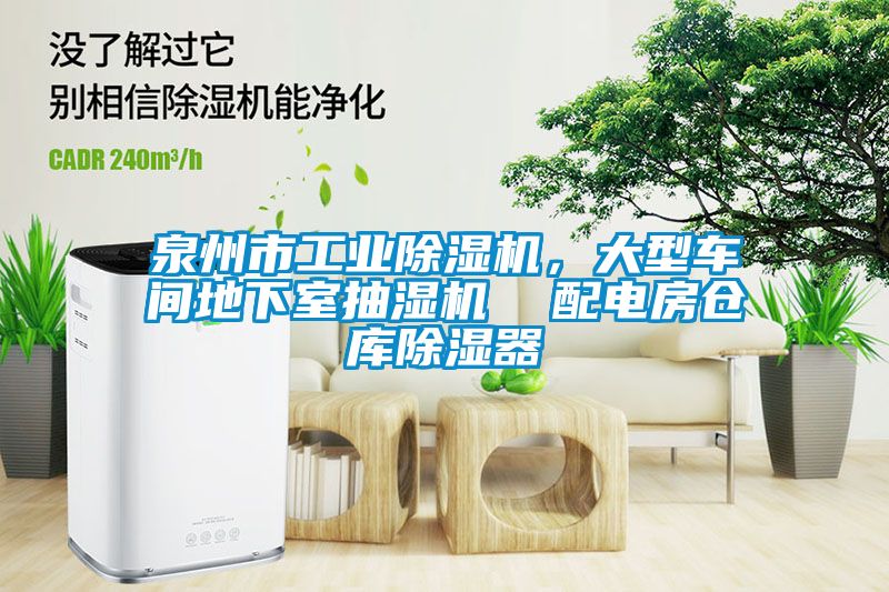 泉州市工業(yè)除濕機，大型車間地下室抽濕機  配電房倉庫除濕器