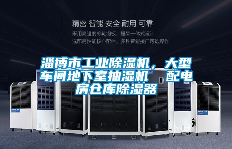 淄博市工業(yè)除濕機，大型車間地下室抽濕機  配電房倉庫除濕器