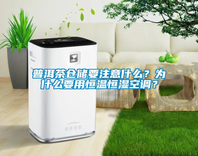 普洱茶倉儲要注意什么？為什么要用恒溫恒濕空調？