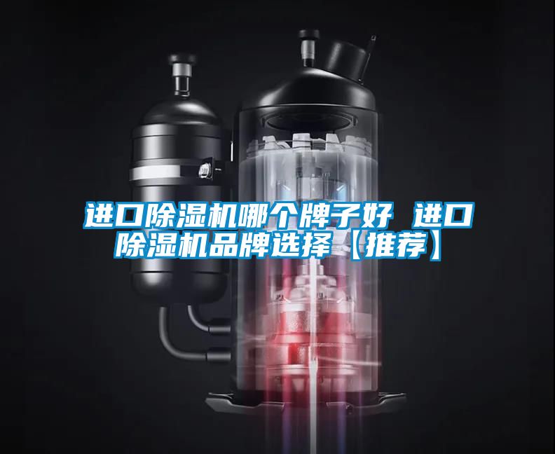 進(jìn)口除濕機(jī)哪個牌子好 進(jìn)口除濕機(jī)品牌選擇【推薦】