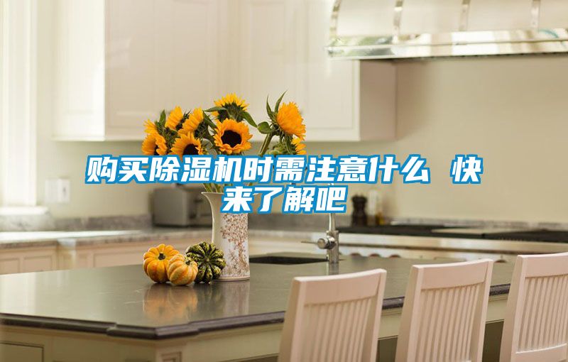 購買除濕機(jī)時需注意什么 快來了解吧