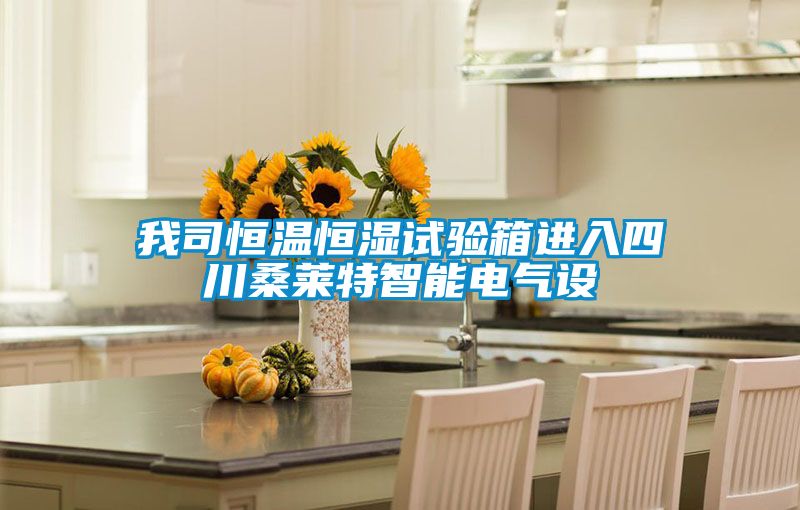 我司恒溫恒濕試驗箱進入四川桑萊特智能電氣設(shè)