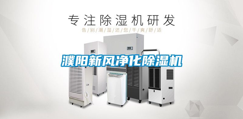 濮陽新風凈化除濕機