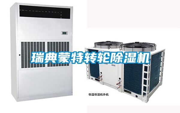瑞典蒙特轉(zhuǎn)輪除濕機(jī)