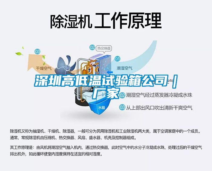深圳高低溫試驗(yàn)箱公司｜廠家