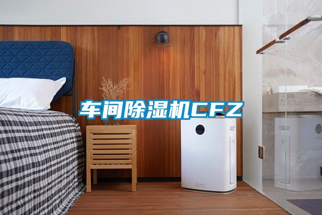 車間除濕機(jī)CFZ