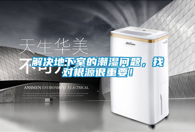 解決地下室的潮濕問題，找對根源很重要！